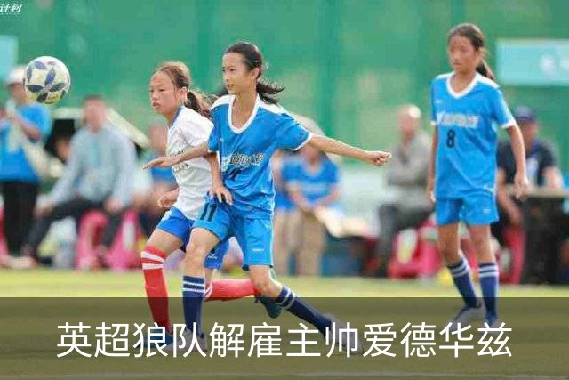英超狼队解雇主帅爱德华兹